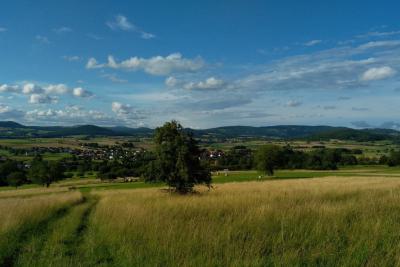 Blick auf den Höhenzug der Schwarzen Berge im Süden der Rhön
